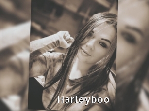 Harleyboo
