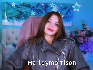 Harleymorrison