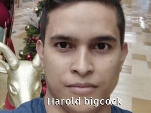 Harold_bigcock