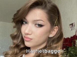 Harrietbagge