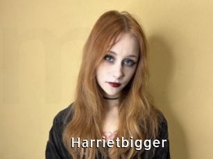 Harrietbigger