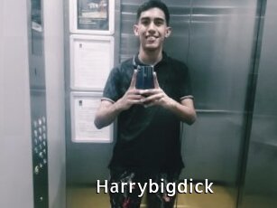 Harrybigdick