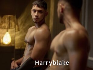 Harryblake