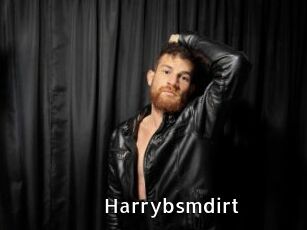 harrybsmdirt My Porno Stash