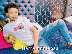 Harrymontanaa
