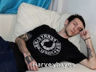 Harveyhayes