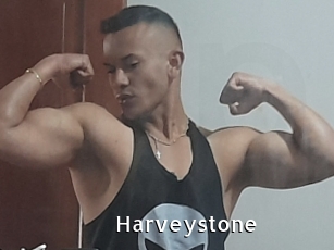 Harveystone