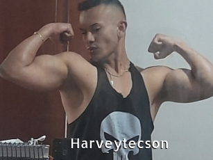 Harveytecson