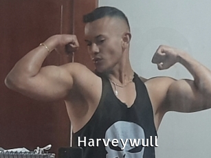 Harveywull