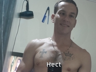 Hect