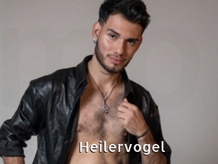 Heilervogel