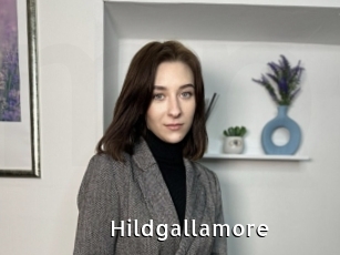 Hildgallamore