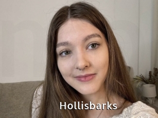 Hollisbarks
