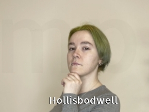 Hollisbodwell