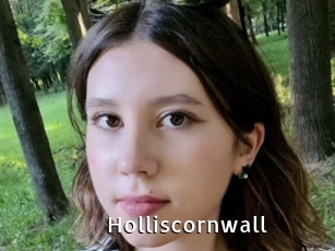 Holliscornwall