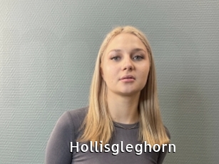 Hollisgleghorn