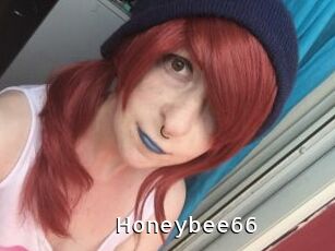 Honeybee66