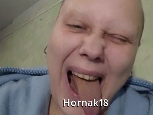 Hornak18