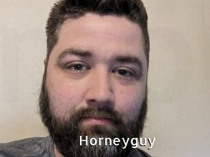 Horneyguy