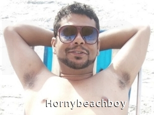 Hornybeachboy