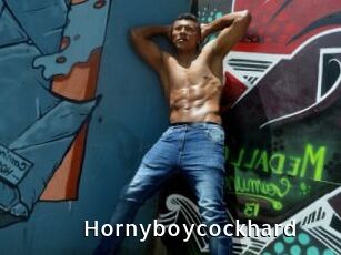 hornyboycockhard My Porno Stash