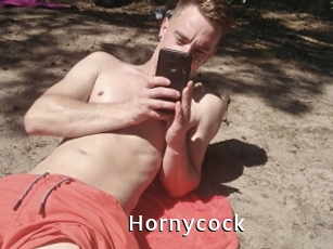 Hornycock