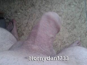 Hornydan1733