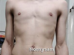 Hornysam