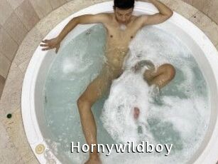 Hornywildboy