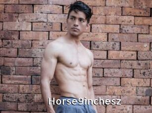 Horse9inchesz
