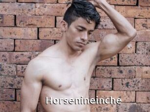 Horsenineinche