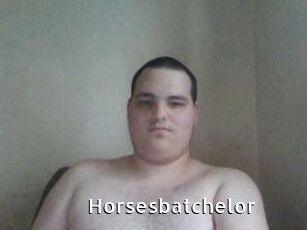 Horsesbatchelor