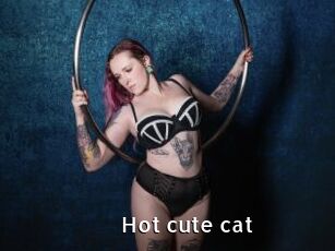 Hot_cute_cat