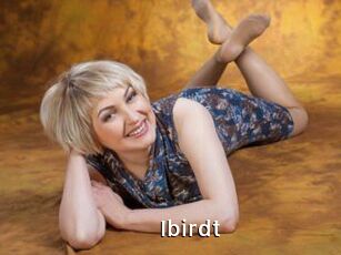 Ibirdt