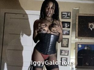 IggyGalorious