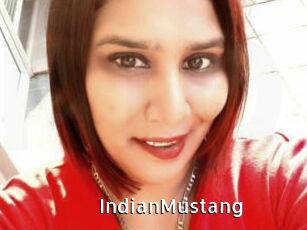 IndianMustang