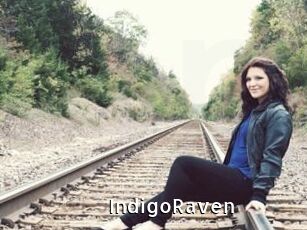 IndigoRaven
