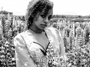 Indigo_22