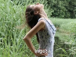 Ingera