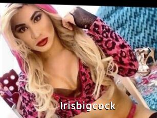Irisbigcock