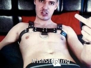 IrishStripling