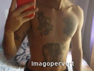 Imagopervert