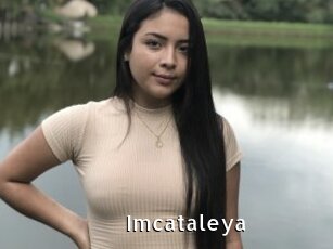 Imcataleya