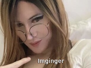 Imginger