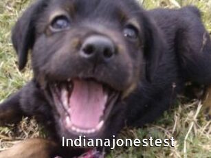 Indianajonestest
