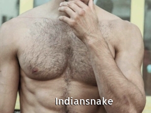 Indiansnake