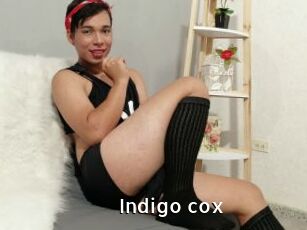 Indigo_cox