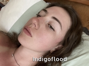 Indigoflood