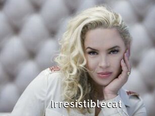 Irresistiblecat