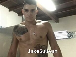 Jake_Sulivan